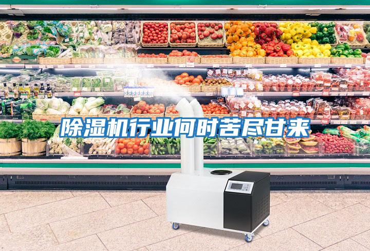 除濕機(jī)行業(yè)何時苦盡甘來