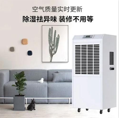 夏季，如何有效去除濕氣