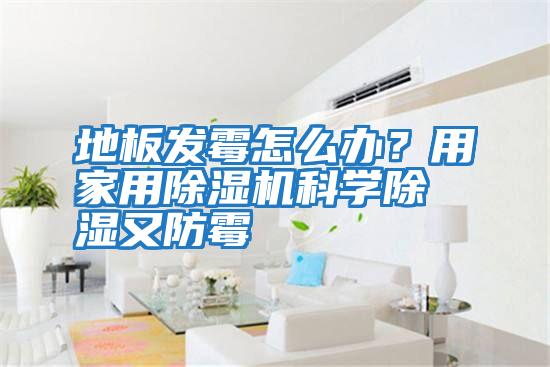 地板發霉怎么辦?用家用除濕機科學除濕又防霉