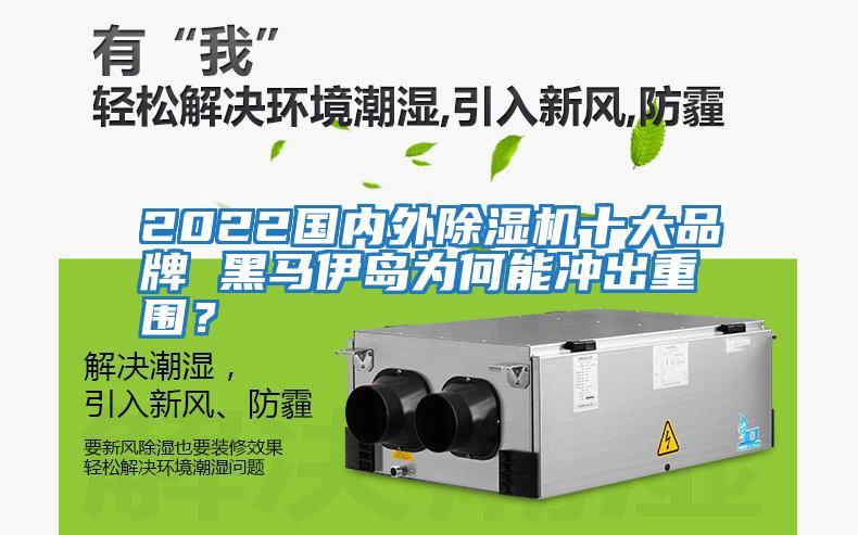 2022國內外除濕機十大品牌 黑馬伊島為何能沖出重圍？