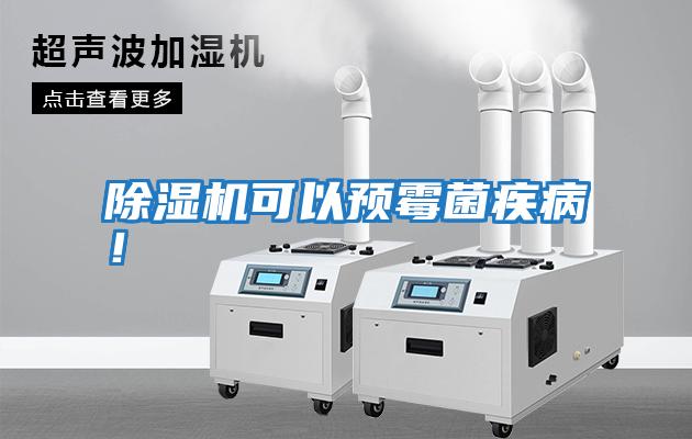 除濕機可以預霉菌疾??！