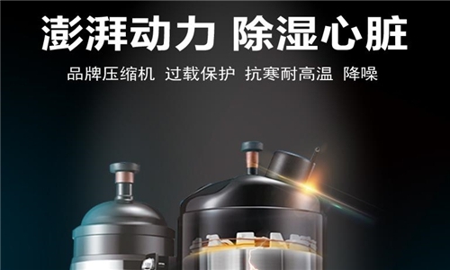 采菊東籬下，悠然見南山，金絲皇菊花的加工生產提高產能，升溫型烘干工業除濕機