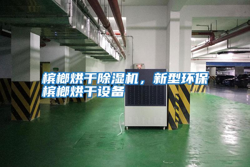 檳榔烘干除濕機，新型環保檳榔烘干設備