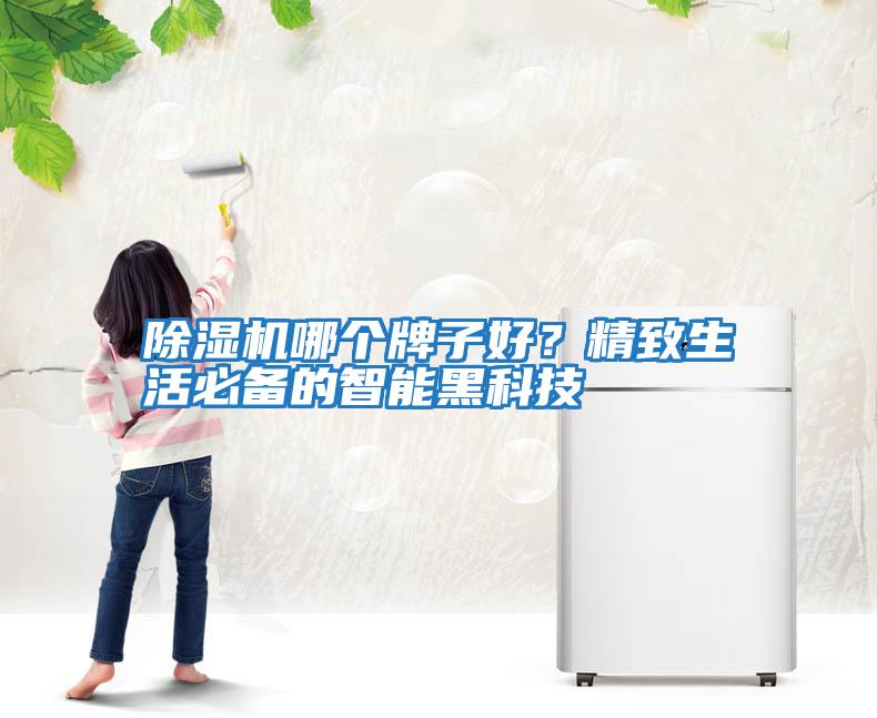 除濕機哪個牌子好？精致生活必備的智能黑科技