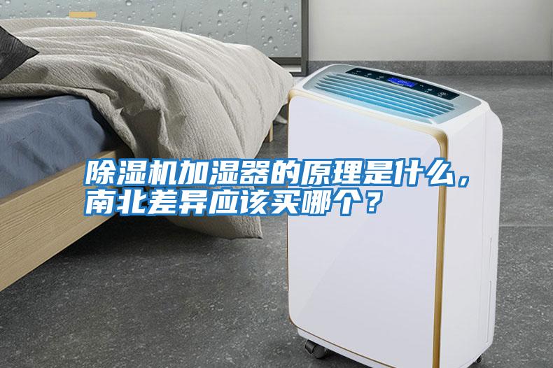 除濕機(jī)加濕器的原理是什么，南北差異應(yīng)該買哪個(gè)？