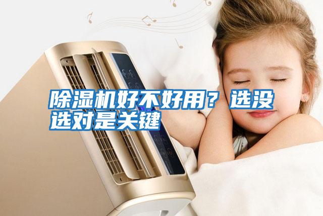 除濕機好不好用？選沒選對是關鍵