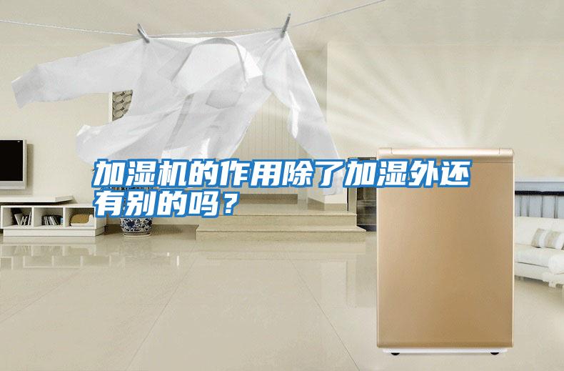 加濕機的作用除了加濕外還有別的嗎？
