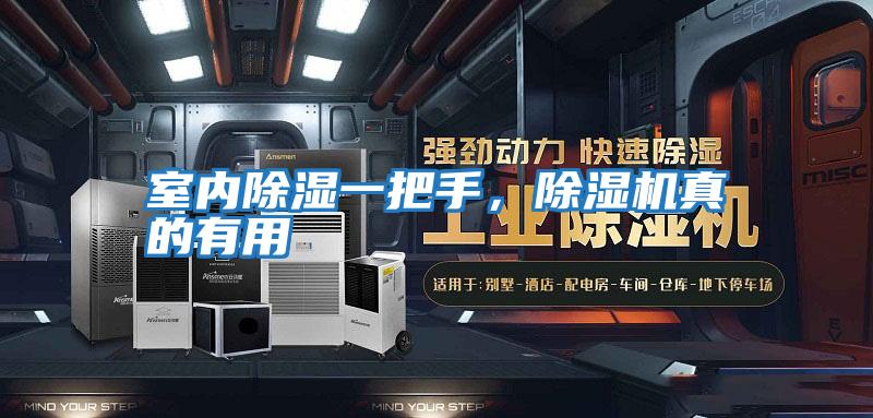 室內除濕一把手，除濕機真的有用
