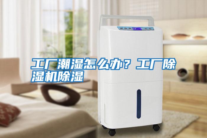 工廠潮濕怎么辦？工廠除濕機除濕