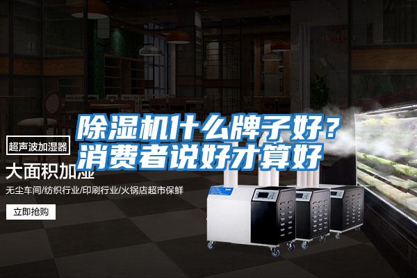 除濕機什么牌子好？消費者說好才算好