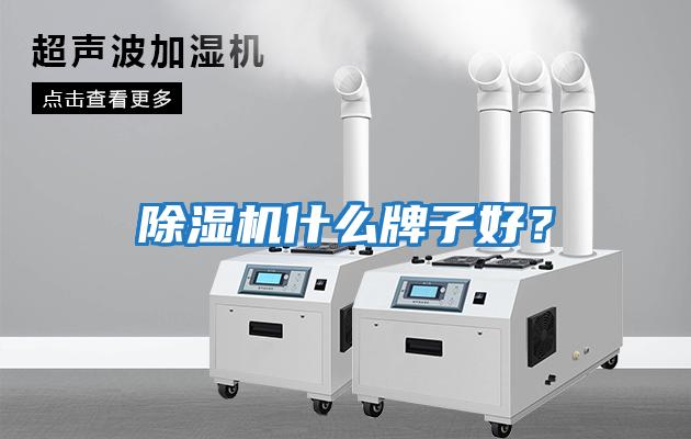 除濕機什么牌子好？