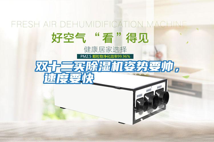 雙十二買除濕機姿勢要帥， 速度要快