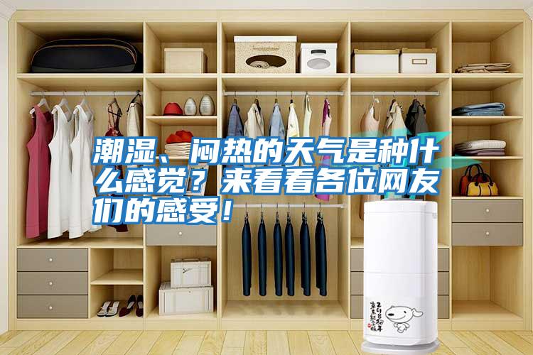 潮濕、悶熱的天氣是種什么感覺？來看看各位網友們的感受！