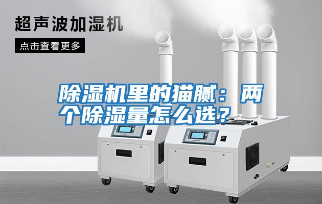 除濕機(jī)里的貓膩：兩個(gè)除濕量怎么選？