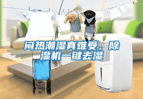 悶熱潮濕真難受，除濕機一鍵去濕