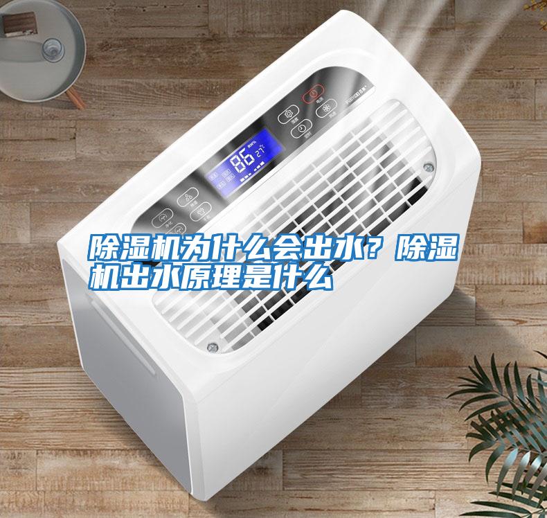 除濕機為什么會出水？除濕機出水原理是什么