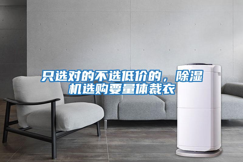 只選對的不選低價的，除濕機選購要量體裁衣