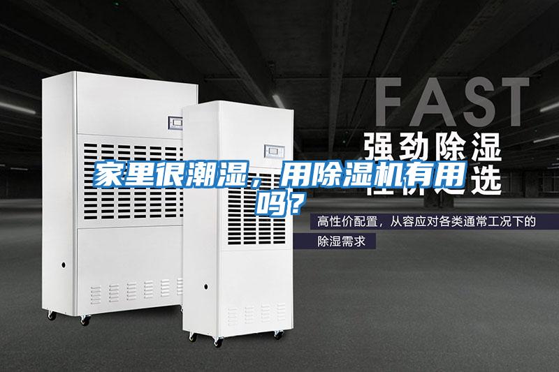 家里很潮濕，用除濕機(jī)有用嗎？