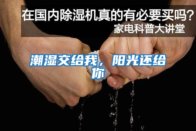 潮濕交給我，陽光還給你