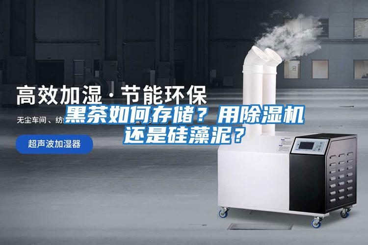 黑茶如何存儲？用除濕機還是硅藻泥？