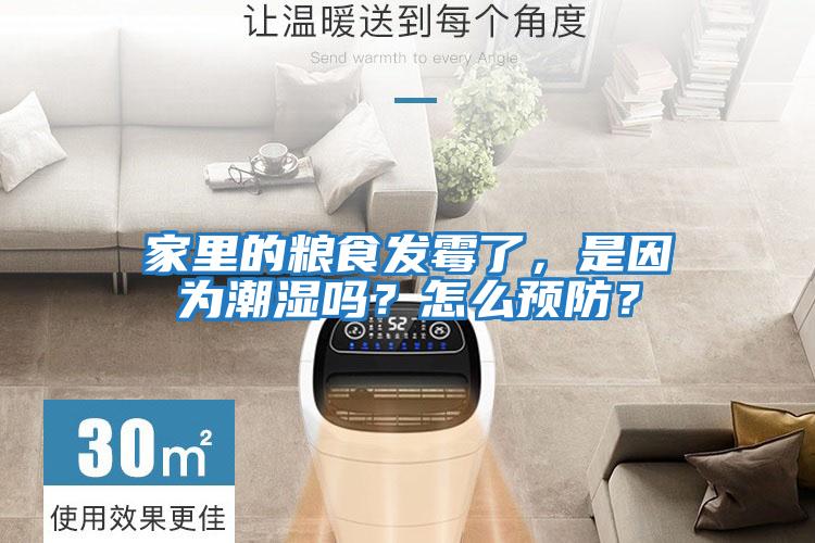 家里的糧食發霉了，是因為潮濕嗎？怎么預防？