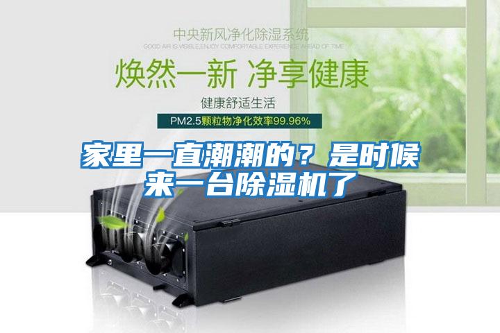 家里一直潮潮的？是時候來一臺除濕機了