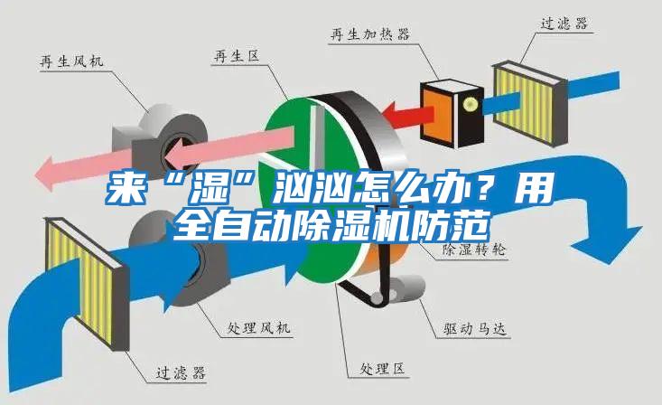 來(lái)“濕”洶洶怎么辦？用全自動(dòng)除濕機(jī)防范