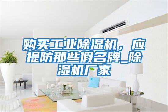 購(gòu)買工業(yè)除濕機(jī),應(yīng)提防那些假名牌_除濕機(jī)廠家