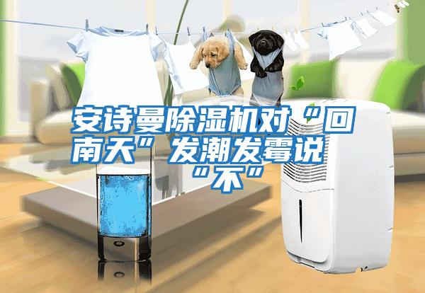安詩曼除濕機(jī)對“回南天”發(fā)潮發(fā)霉說“不”