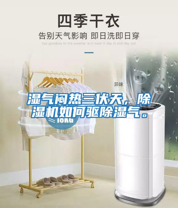 濕氣悶熱三伏天，除濕機(jī)如何驅(qū)除濕氣。