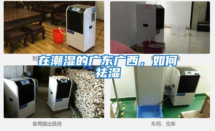 在潮濕的廣東廣西，如何祛濕