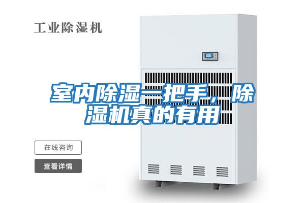 室內(nèi)除濕一把手，除濕機(jī)真的有用