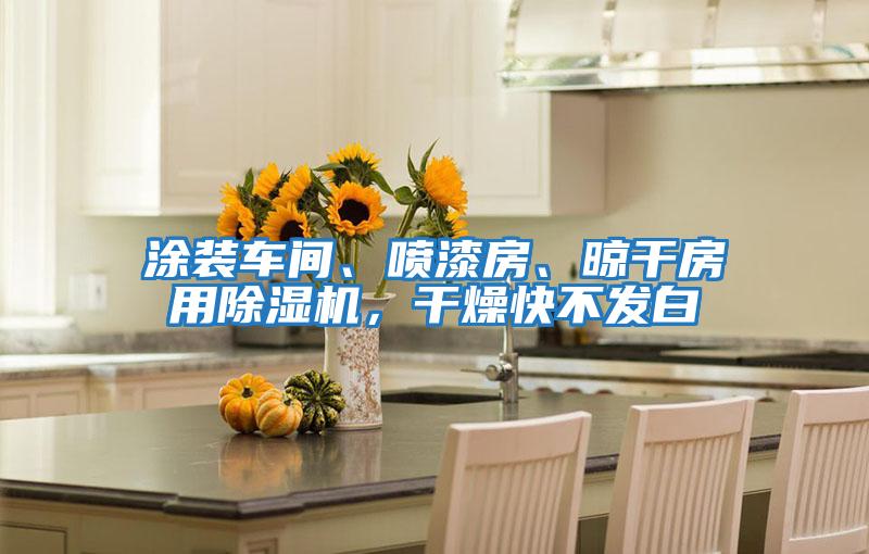 涂裝車間、噴漆房、晾干房用除濕機，干燥快不發(fā)白