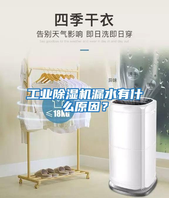 工業(yè)除濕機(jī)漏水有什么原因？