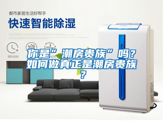 你是”潮房貴族”嗎？如何做真正是潮房貴族？