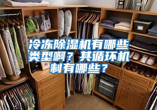 冷凍除濕機有哪些類型啊?其循環機制有哪些?