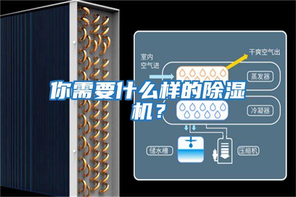 你需要什么樣的除濕機？