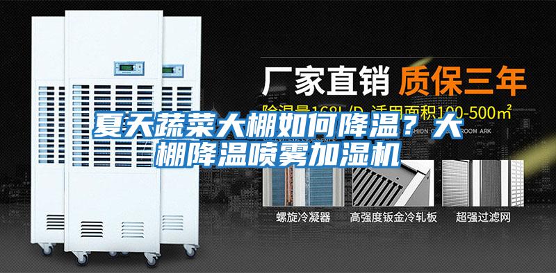 夏天蔬菜大棚如何降溫？大棚降溫噴霧加濕機