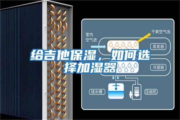 給吉他保濕，如何選擇加濕器