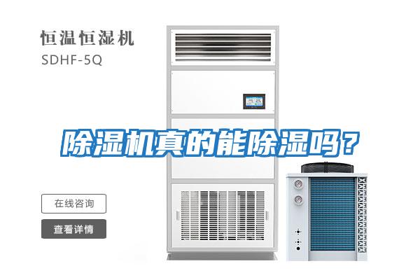 除濕機(jī)真的能除濕嗎？