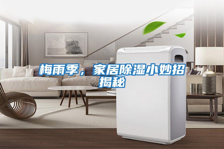 梅雨季，家居除濕小妙招揭秘