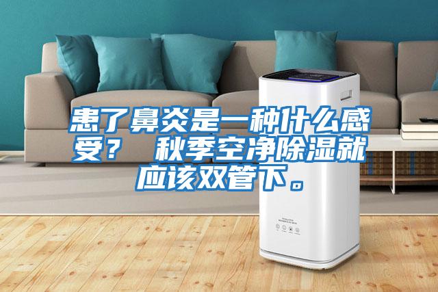 患了鼻炎是一種什么感受？ 秋季空凈除濕就應該雙管下。
