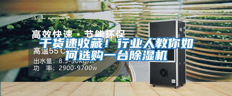 干貨速收藏!行業(yè)人教你如何選購一臺除濕機(jī)
