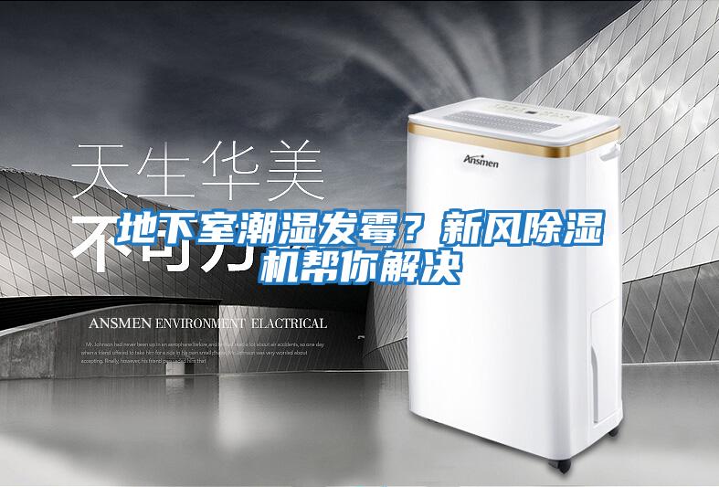 地下室潮濕發霉？新風除濕機幫你解決