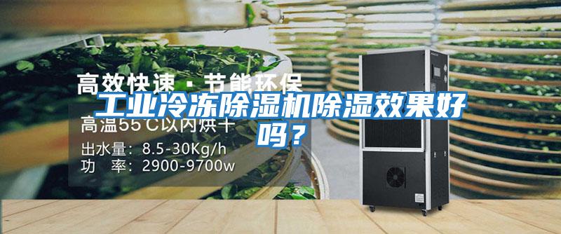 工業(yè)冷凍除濕機(jī)除濕效果好嗎？