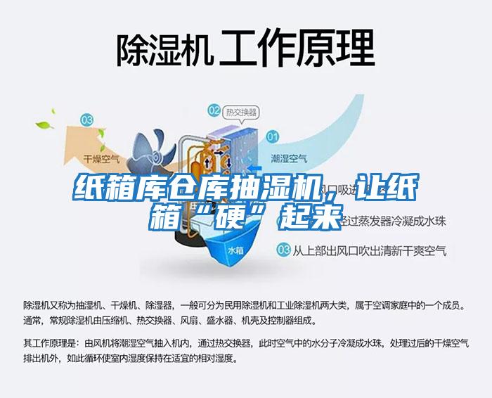 紙箱庫倉庫抽濕機(jī)，讓紙箱“硬”起來
