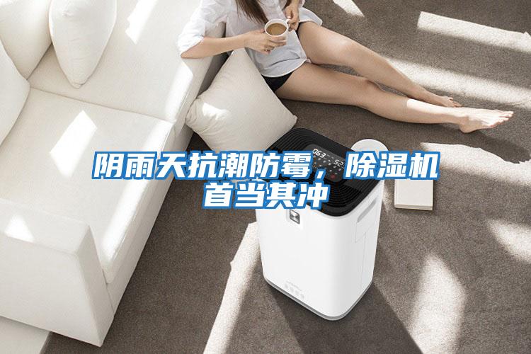 陰雨天抗潮防霉，除濕機首當其沖
