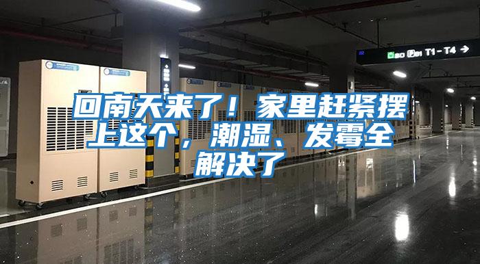 回南天來了！家里趕緊擺上這個(gè)，潮濕、發(fā)霉全解決了