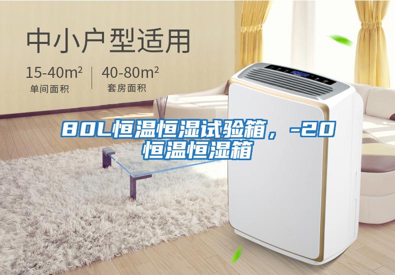 80L恒溫恒濕試驗箱，-20℃恒溫恒濕箱