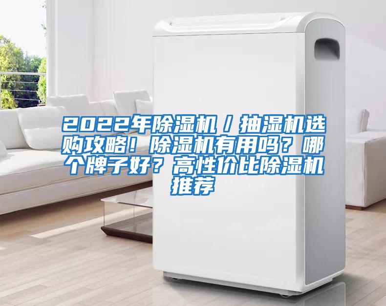 2022年除濕機／抽濕機選購攻略！除濕機有用嗎？哪個牌子好？高性價比除濕機推薦